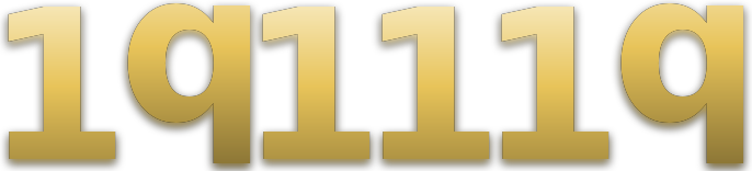 1q111q logo